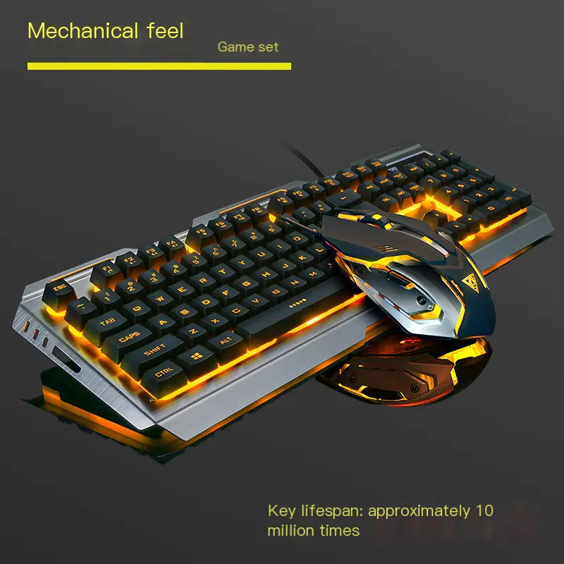Keyboard, Mouse, and Computer Accessories